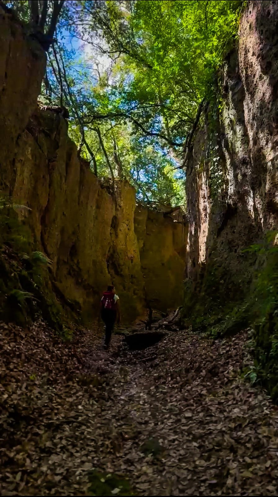 Trekking nel cuore del bosco di Nepi - Discover Experience