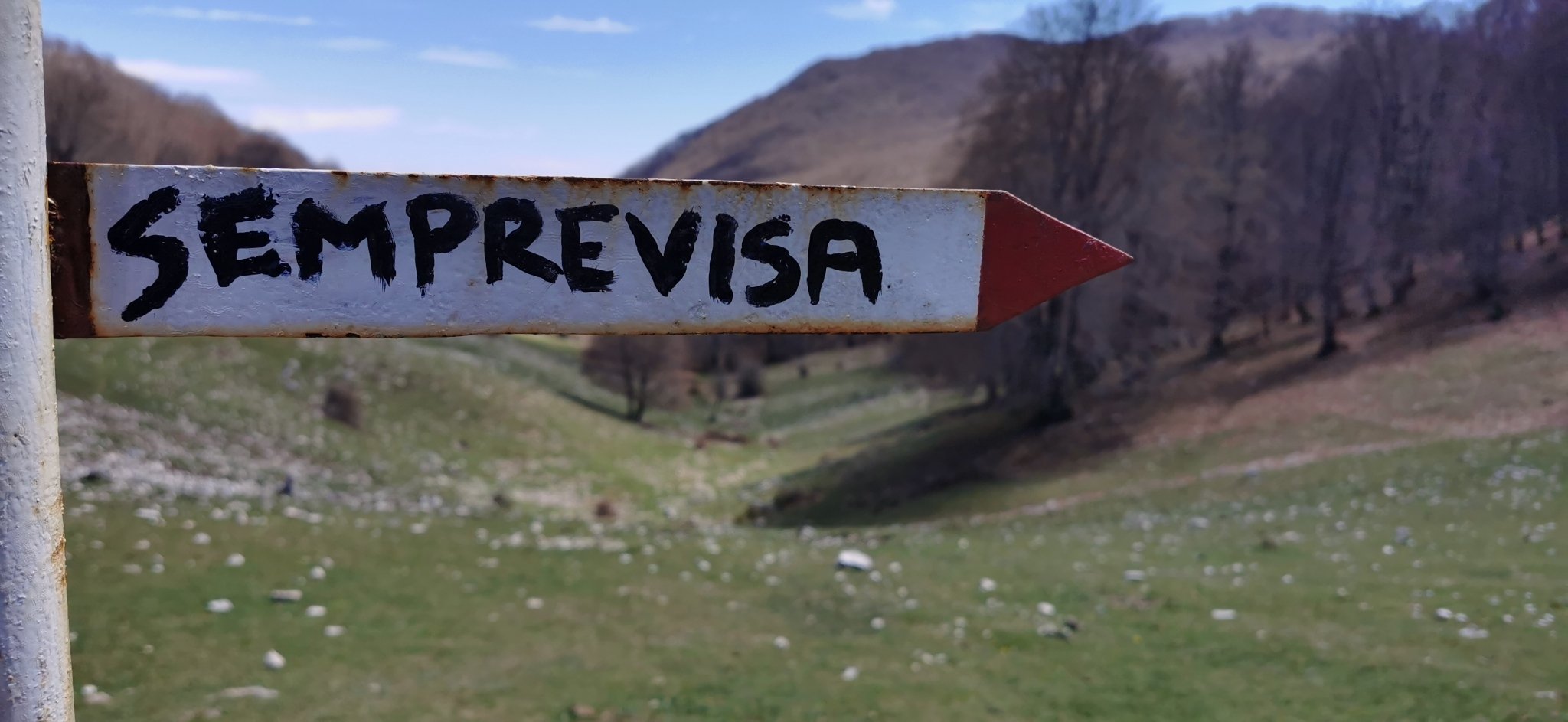 Trekking sul Semprevisa: monte di pastori e faggeti secolari - Discover Experience